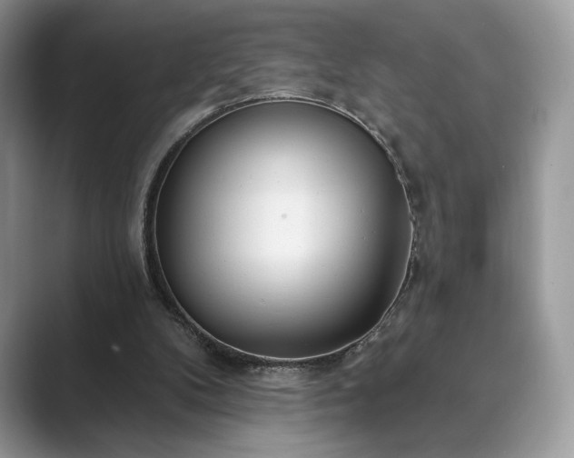 X0000089900104200707051315