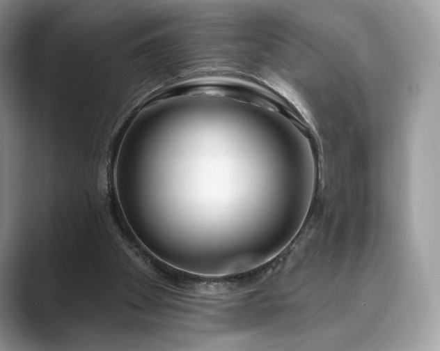 X0000089900105200707051315