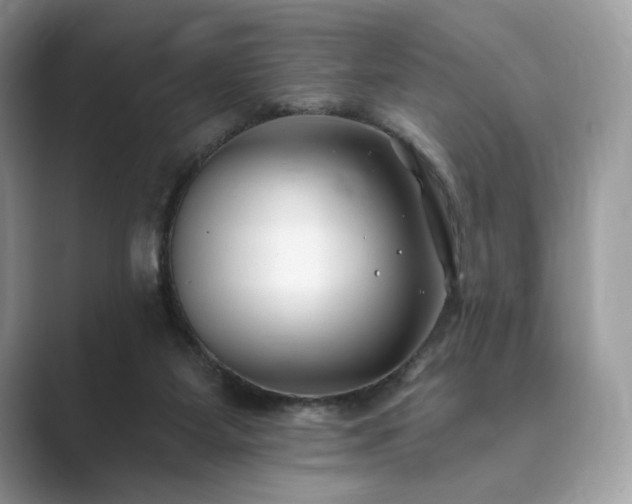 X0000089900115200707051315