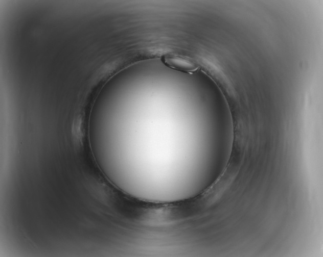 X0000089900116200707051315