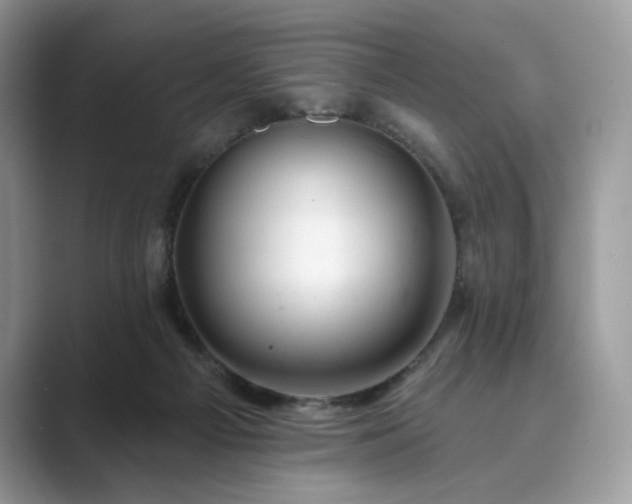 X0000089900121200707051315