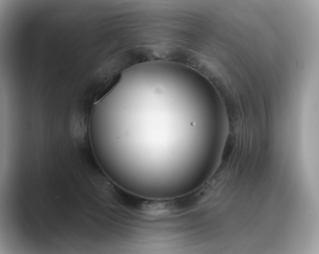 X0000089900129200707051315