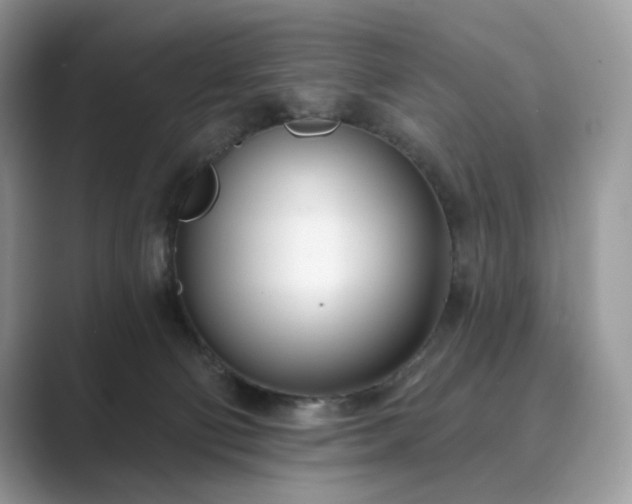X0000089900130200707051315