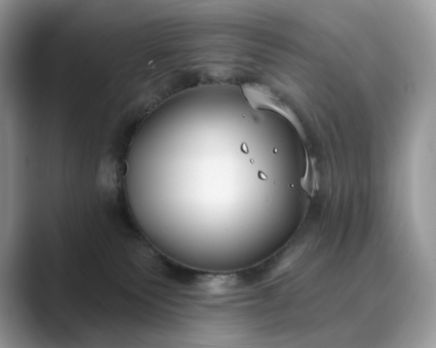 X0000089900135200707051315