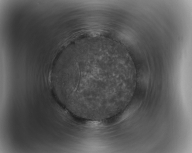 X0000089900139200707051315