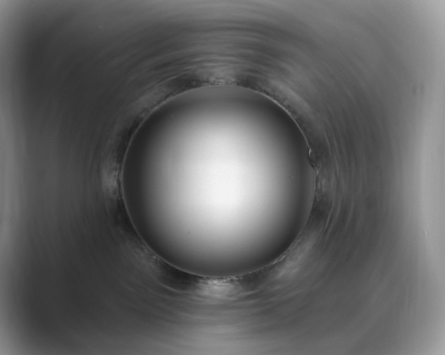 X0000089900141200707051315