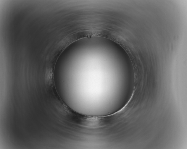 X0000089900144200707051315