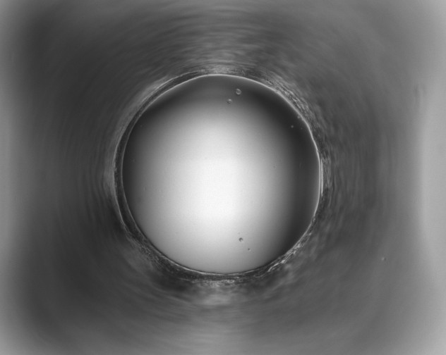 X0000089900147200707051314
