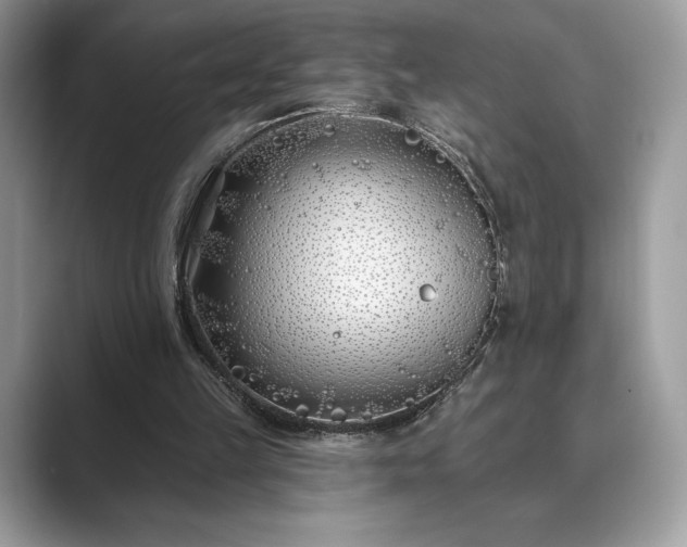X0000089900149200707051314
