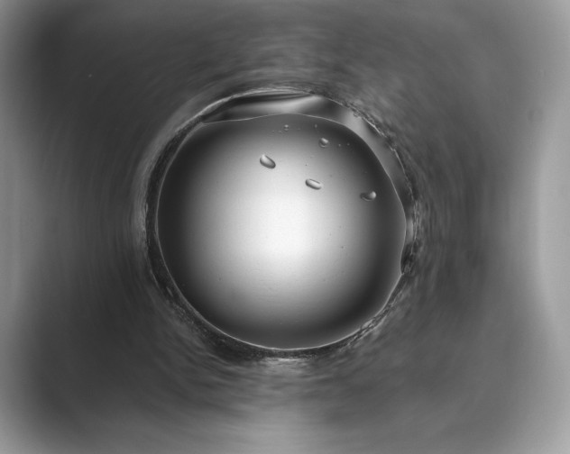 X0000089900150200707051314