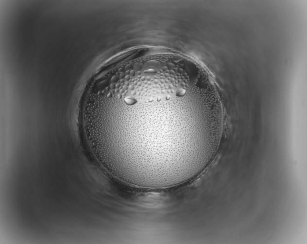 X0000089900151200707051314