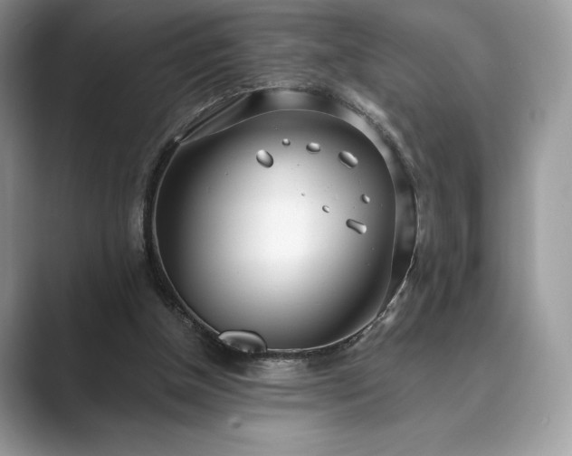 X0000089900154200707051314