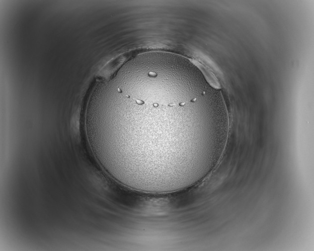 X0000089900155200707051314