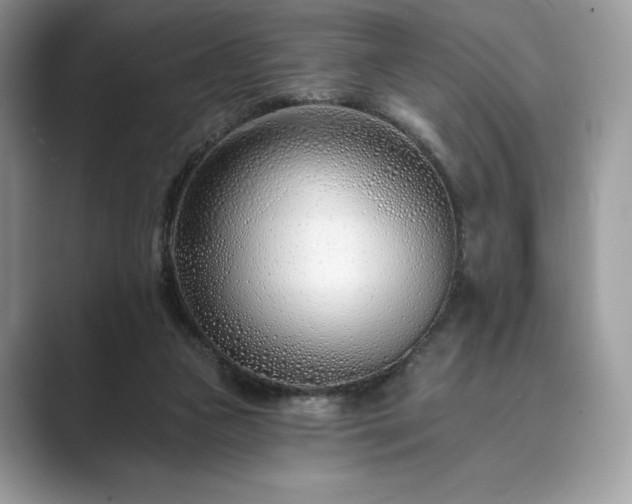X0000089900161200707051314