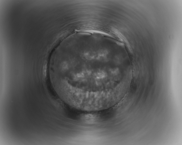 X0000089900163200707051314