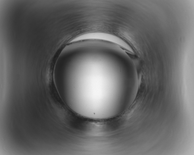 X0000089900164200707051314