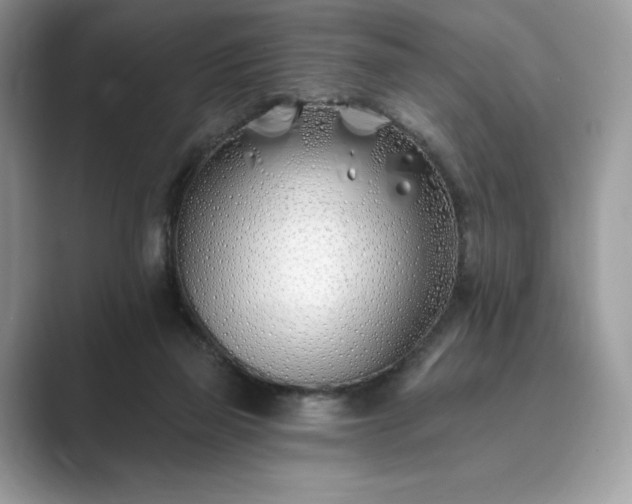 X0000089900165200707051314