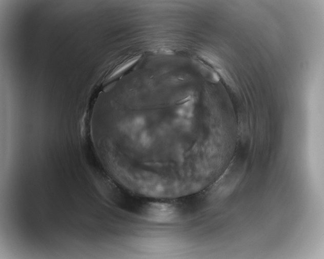 X0000089900167200707051314