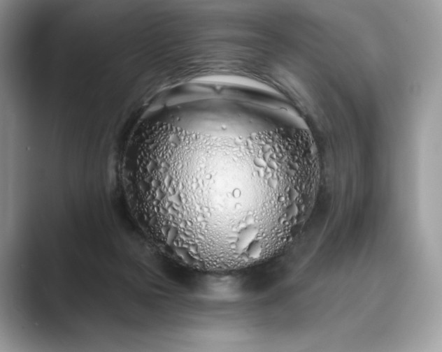 X0000089900169200707051314