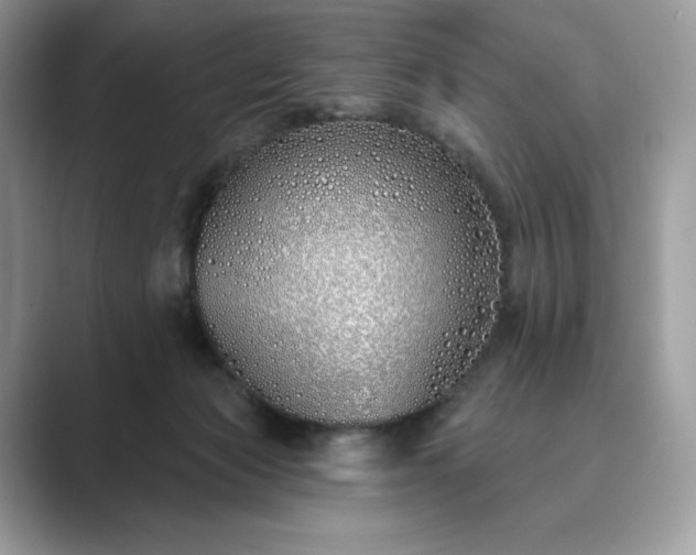 X0000089900173200707051314