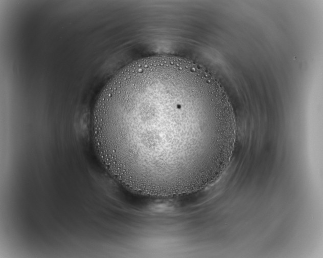 X0000089900175200707051314