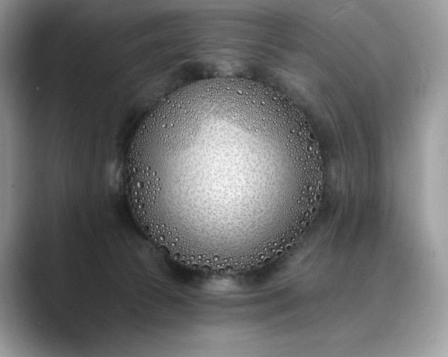 X0000089900177200707051314