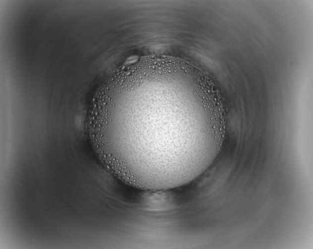 X0000089900181200707051314