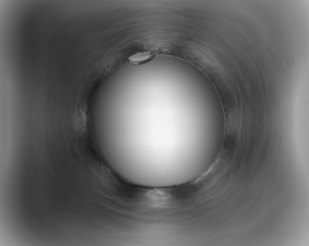 X0000089900183200707051314