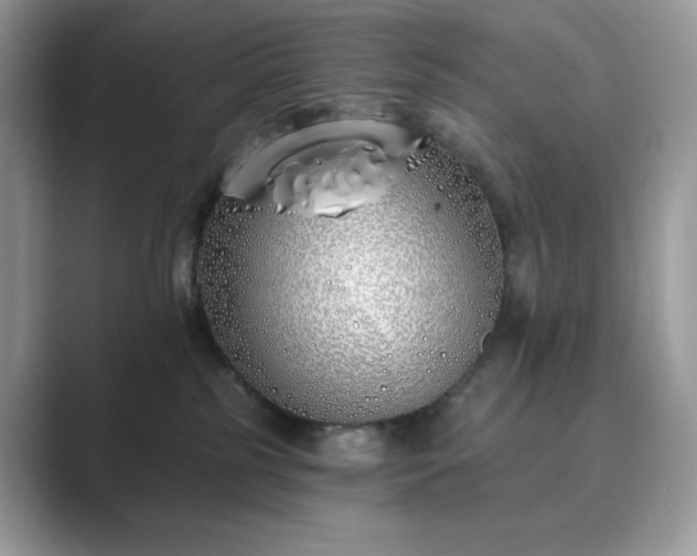 X0000089900185200707051314