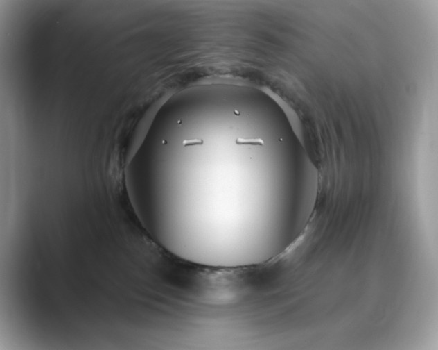 X0000089900186200707051314