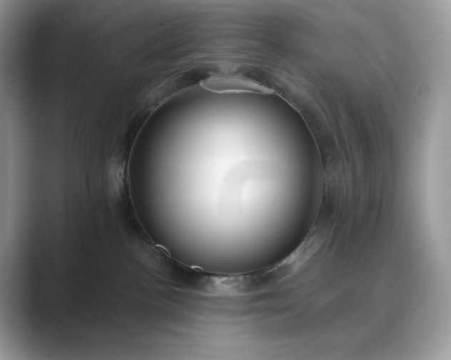 X0000089900188200707051314