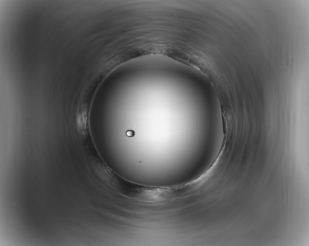 X0000089900190200707051314
