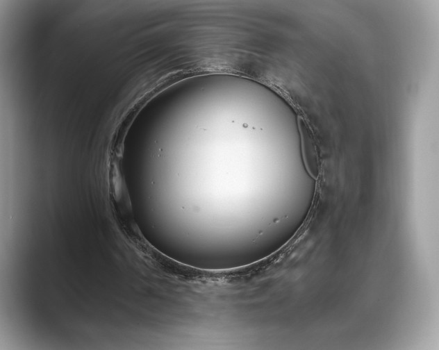 X0000089900194200707051314