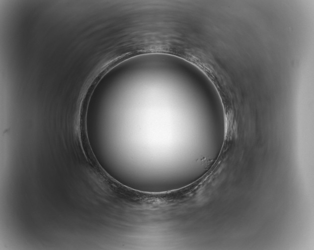 X0000089900195200707051314