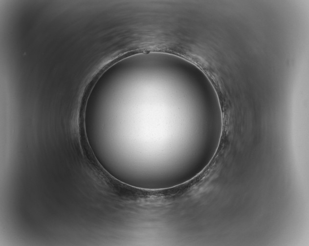 X0000089900196200707051314