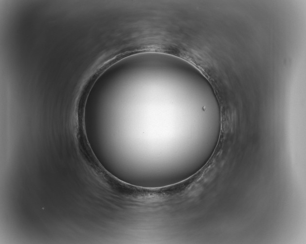 X0000089900198200707051314
