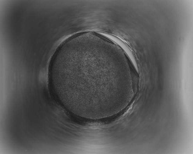 X0000089900200200707051314
