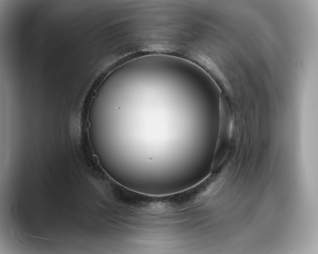 X0000089900204200707051314
