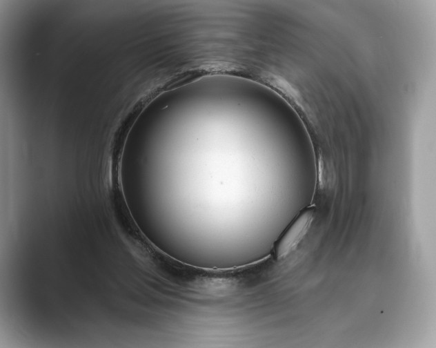 X0000089900205200707051314