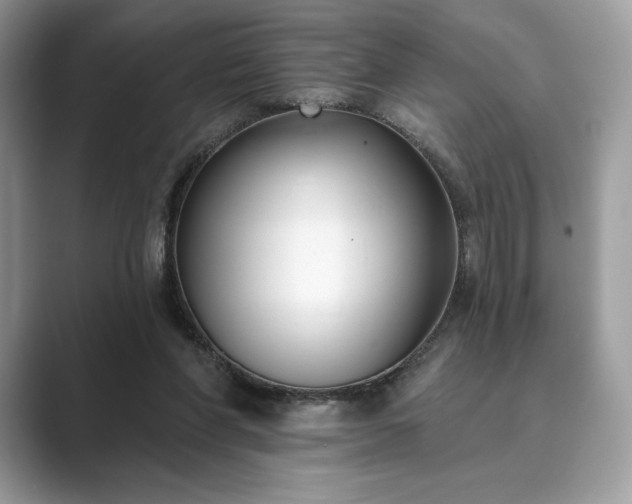 X0000089900206200707051314