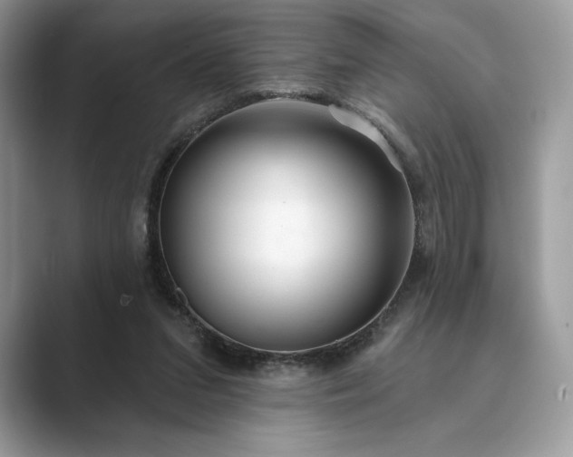 X0000089900207200707051314