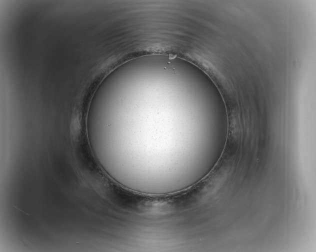 X0000089900208200707051314