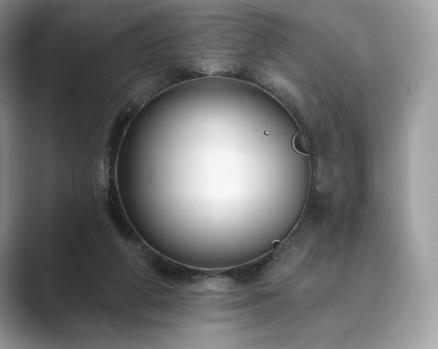 X0000089900210200707051314