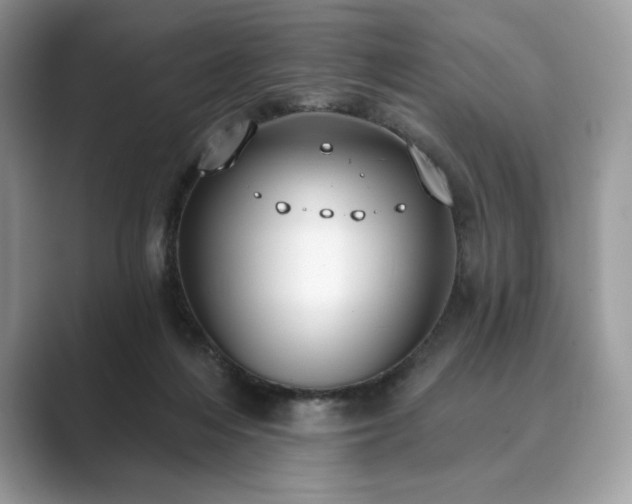 X0000089900216200707051314