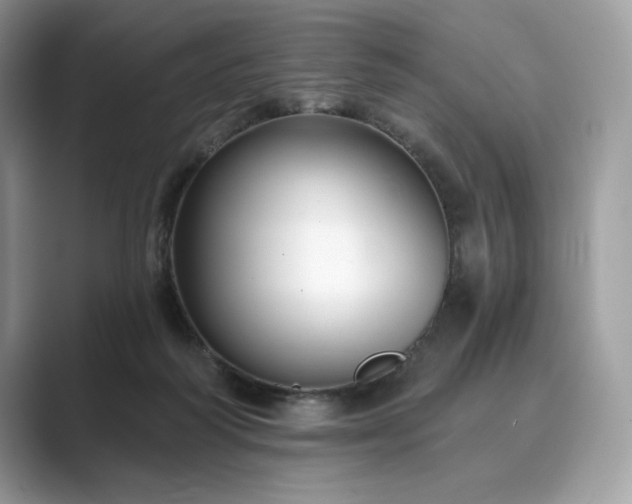 X0000089900218200707051314
