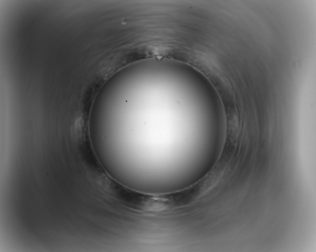 X0000089900222200707051314