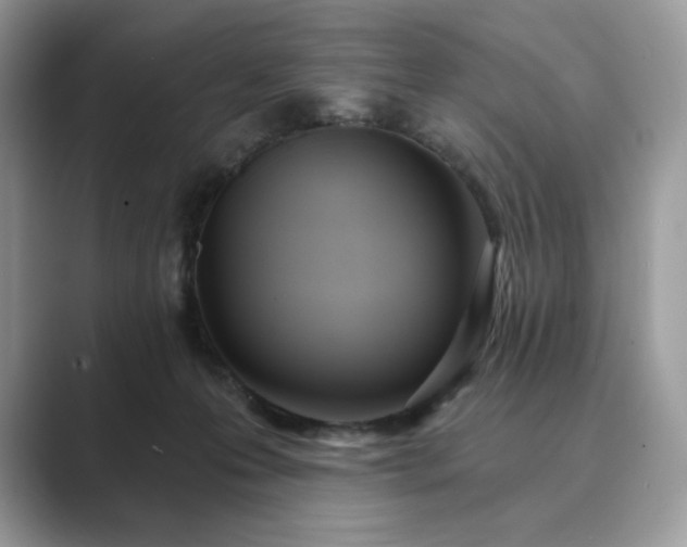 X0000089900223200707051314