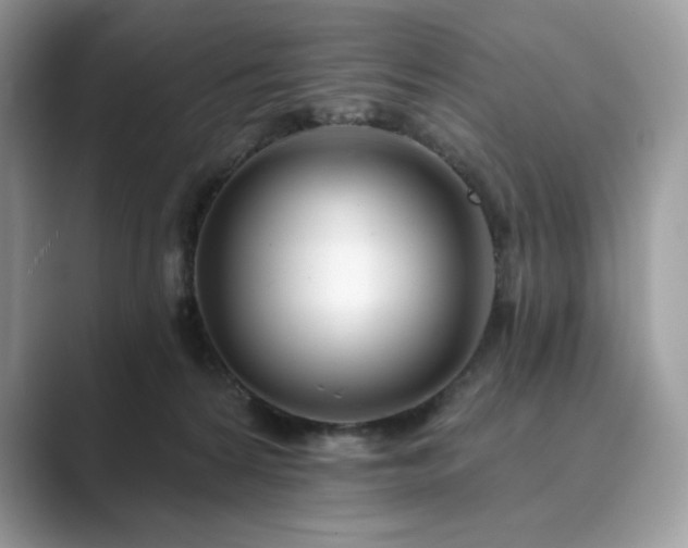 X0000089900224200707051314