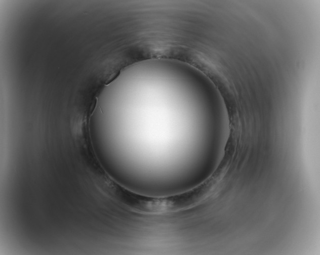X0000089900225200707051314