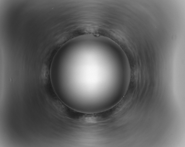 X0000089900228200707051314